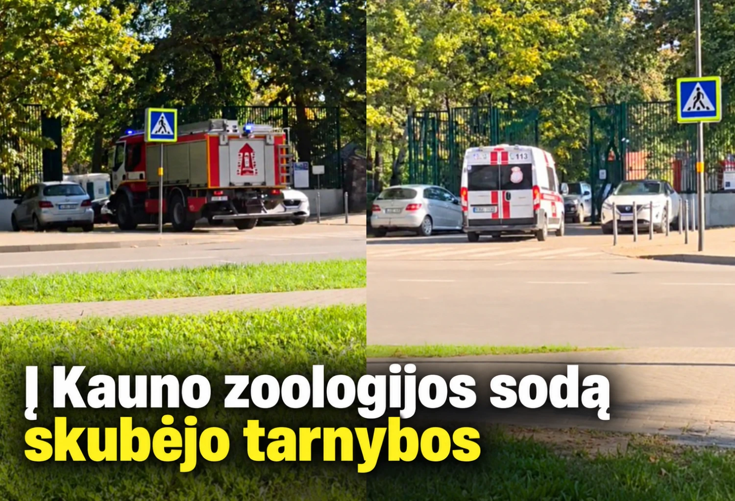 Į Kauno zoologijos sodą skubėjo policija, ugniagesiai ir medikai